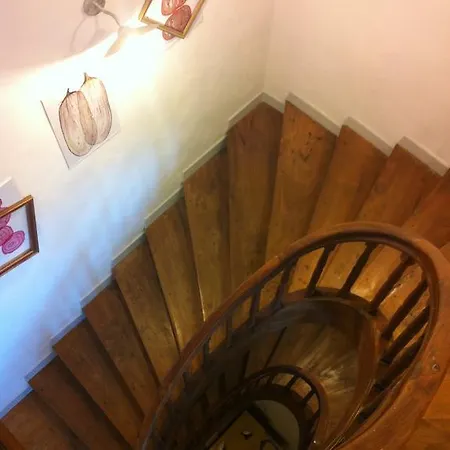 Appart's Village Trama Loges